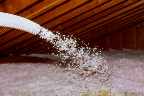 Best Fiberglass Insulation  in Excelsior, MN