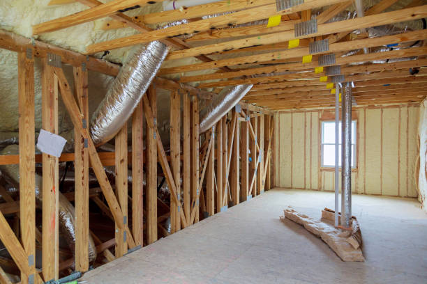 Best Insulation Replacement Services  in Excelsior, MN