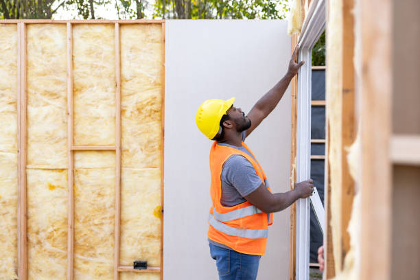 Best Insulation Removal Services  in Excelsior, MN