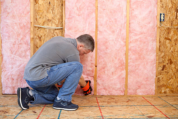 Best Professional Insulation Contractor  in Excelsior, MN